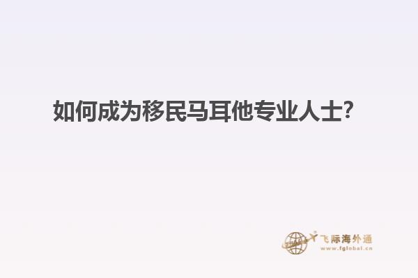 如何成为移民马耳他专业人士？