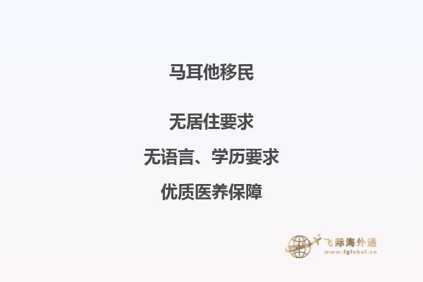 如何成为移民马耳他专业人士？