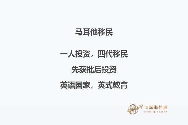 马耳他专业移民律师，解决您的签证问题