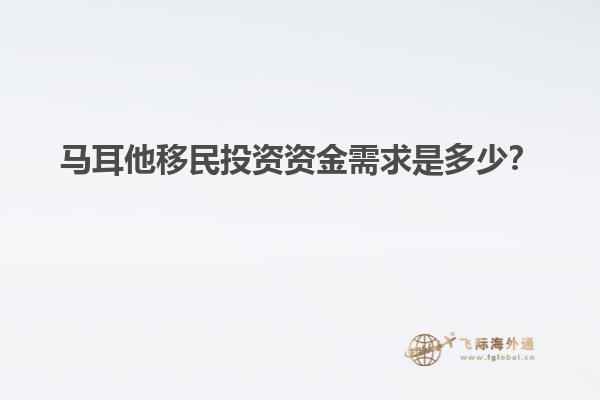 马耳他移民投资资金需求是多少？