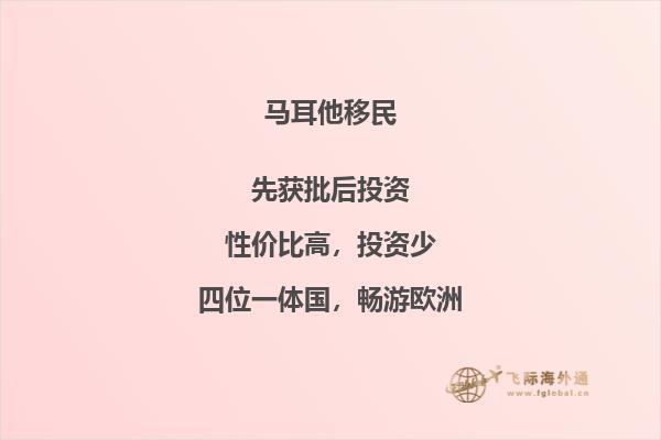 如何在马耳他完成投资移民手续？