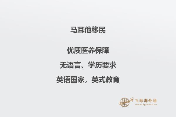 如何在法律框架内移民马耳他？