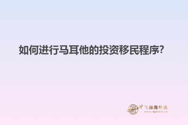 如何进行马耳他的投资移民程序？