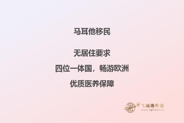 马耳他移民申请条件要求哪些？