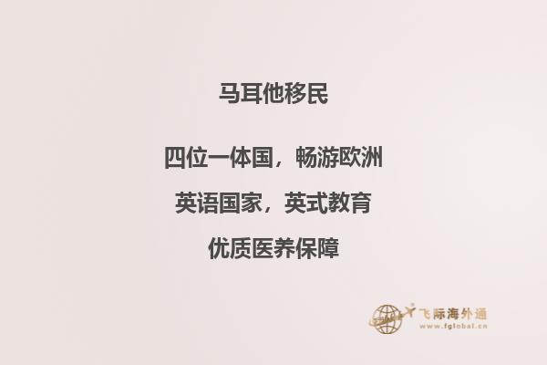 马耳他移民的费用大约是多少呢？