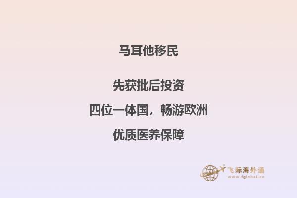 马耳他的移民所需费用是多少？
