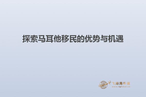 探索马耳他移民的优势与机遇