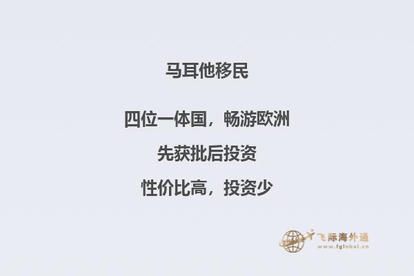 马耳他移民必备证件清单