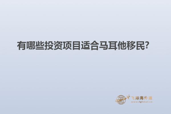 有哪些投资项目适合马耳他移民？