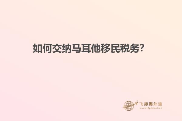 如何交纳马耳他移民税务？