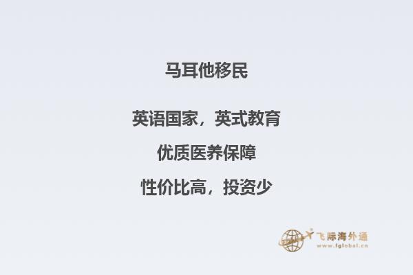 马耳他提供给移民的福利待遇