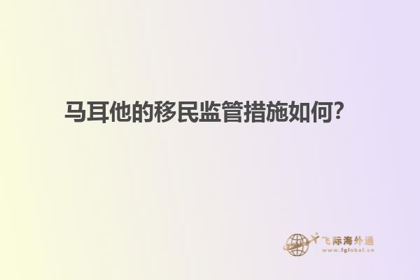 马耳他的移民监管措施如何？
