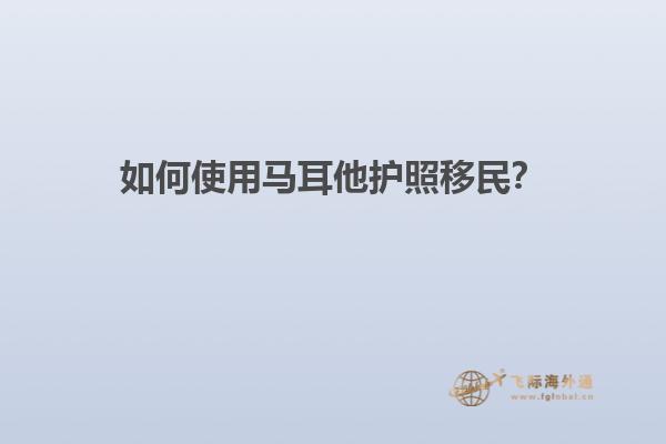 如何使用马耳他护照移民？