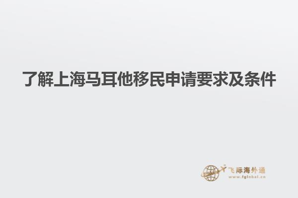 了解上海马耳他移民申请要求及条件