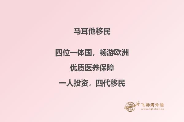 马耳他移民顾问，为您提供优质服务
