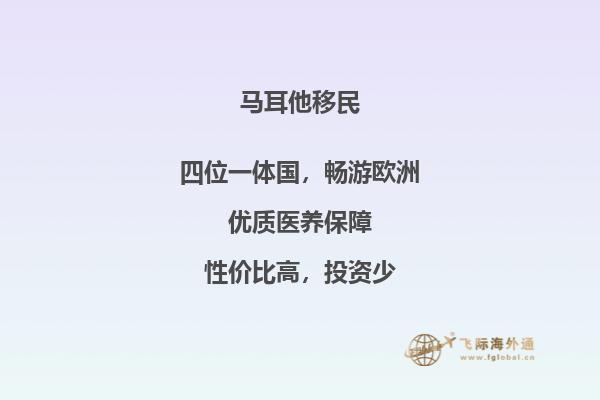 简单易懂的马耳他移民指南，快速获得成功！