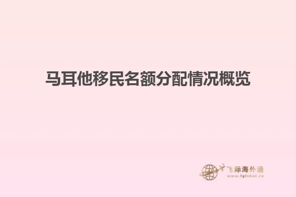 马耳他移民名额分配情况概览