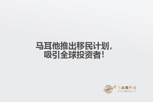马耳他推出移民计划，吸引全球投资者！