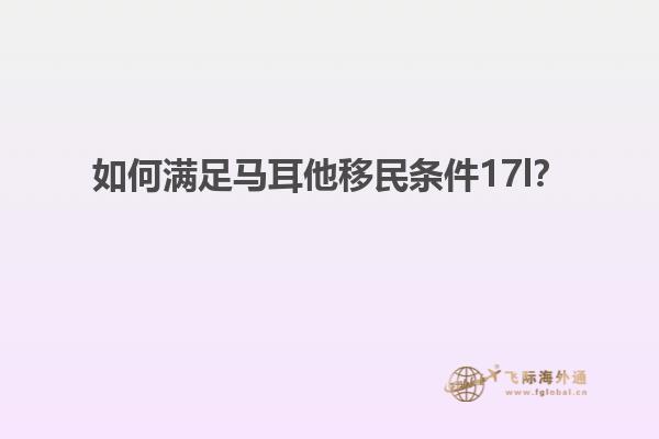 如何满足马耳他移民条件17l？