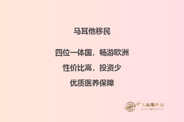 马耳他是否已实施入籍计划？