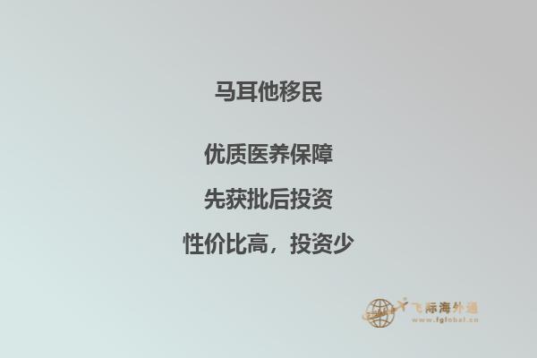 移民马耳他：申请条件与步骤详解