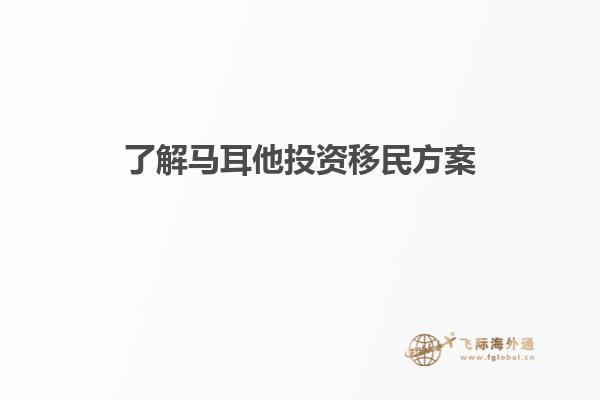 了解马耳他投资移民方案