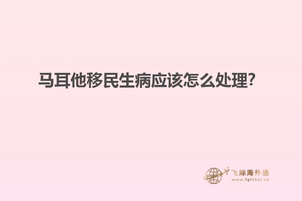 马耳他移民生病应该怎么处理？