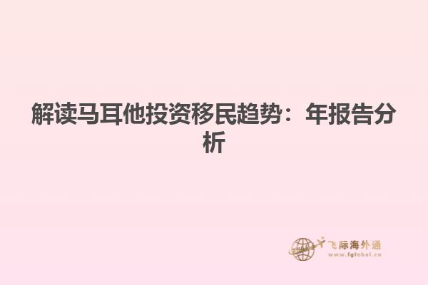 解读马耳他投资移民趋势：年报告分析
