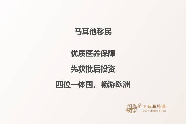 了解马耳他的移民流程和条件