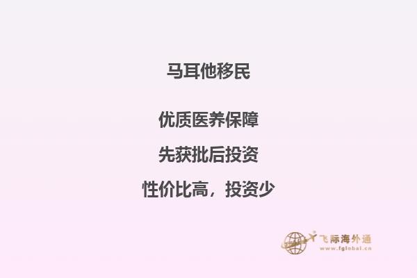 马耳他的移民优惠政策具体细节是什么？