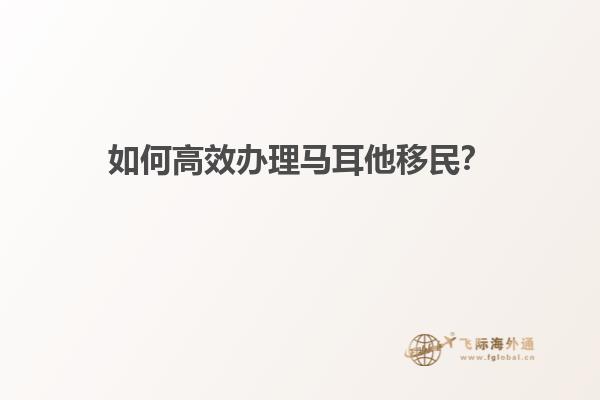 如何高效办理马耳他移民？