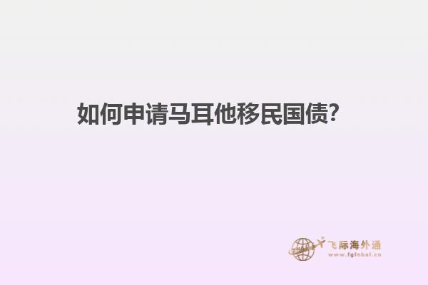 如何申请马耳他移民国债？