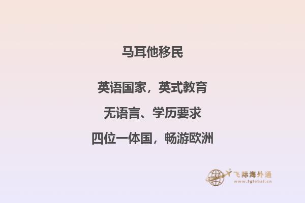 如何申请马耳他移民国债？