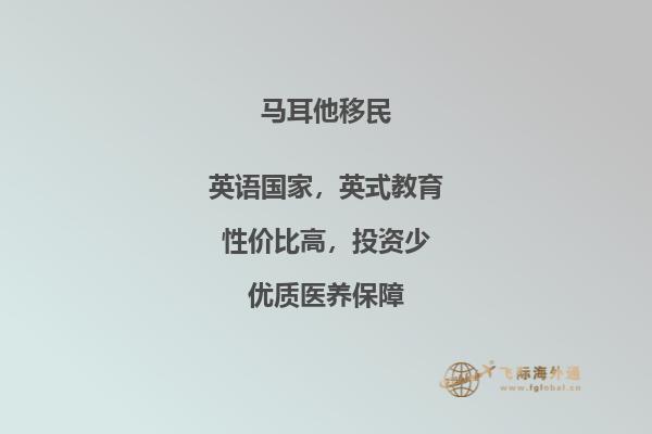 马耳他移民局在线办理，一站式服务