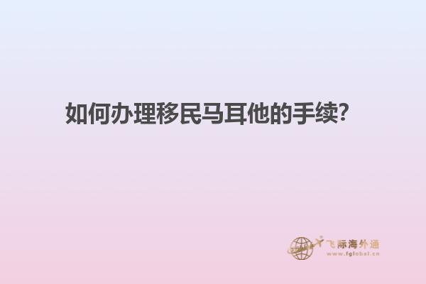 如何办理移民马耳他的手续？
