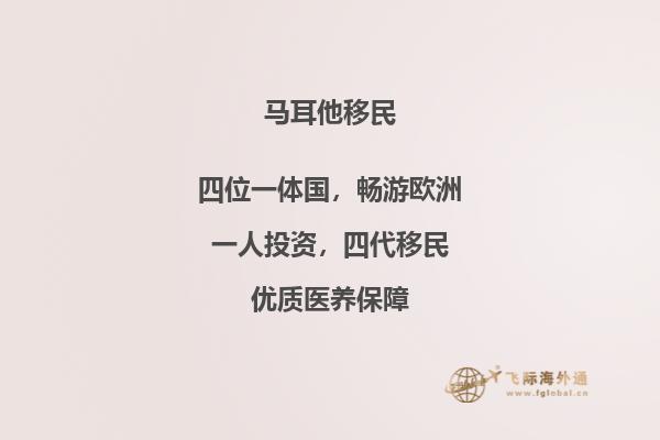 如何办理移民马耳他的手续？