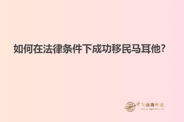 如何在法律条件下成功移民马耳他？