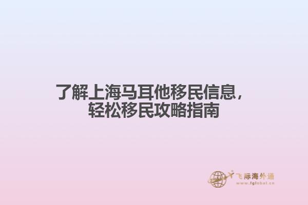 了解上海马耳他移民信息，轻松移民攻略指南