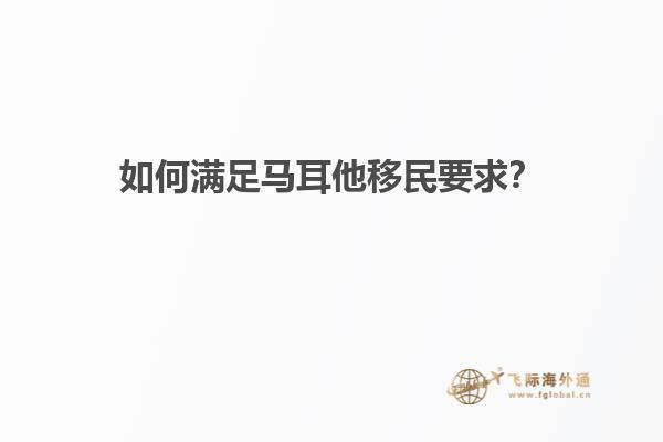 如何满足马耳他移民要求？