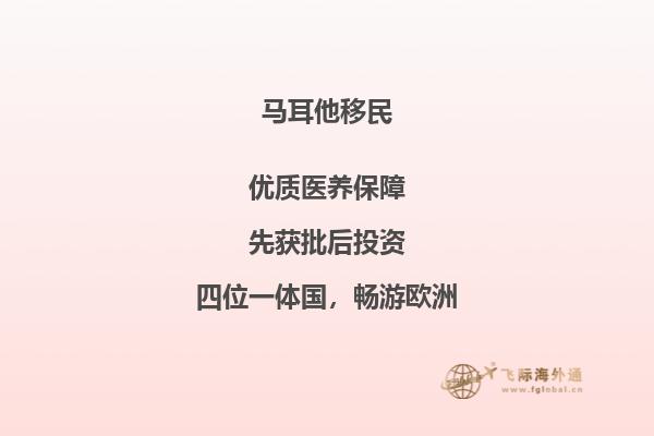 从马耳他到新西兰：移民的新机会