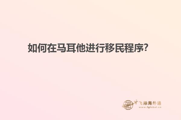 如何在马耳他进行移民程序？