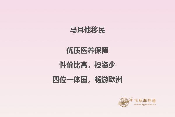 马耳他移民程序解析：申请方法详解