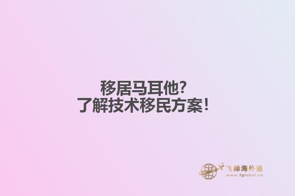 移居马耳他？了解技术移民方案！