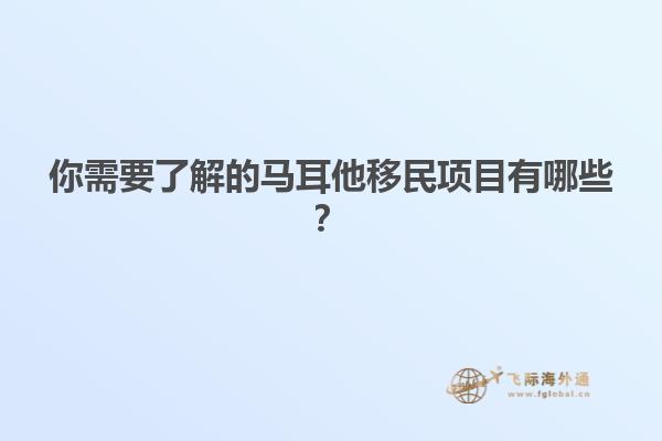 你需要了解的马耳他移民项目有哪些？