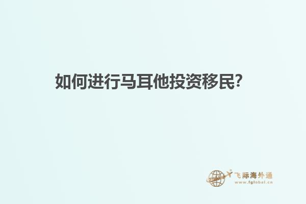 如何进行马耳他投资移民？