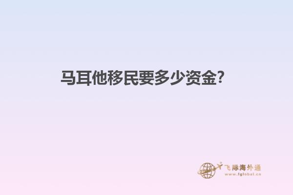 马耳他移民要多少资金？