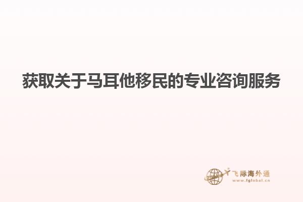 获取关于马耳他移民的专业咨询服务