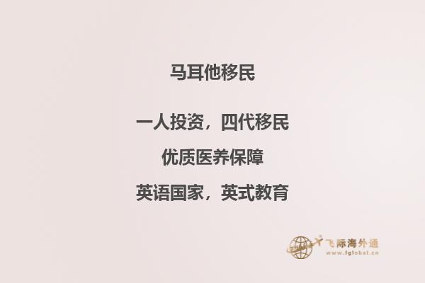 马耳他移民数据分析及评分