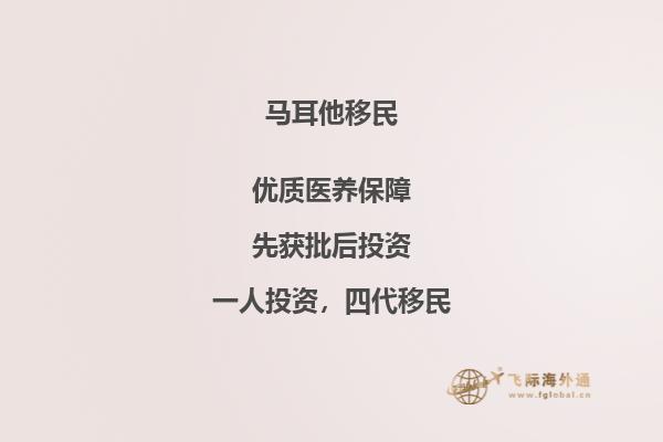 80万耳元投资移民马耳他：一次梦幻之旅