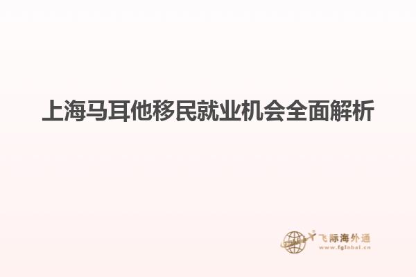 上海马耳他移民就业机会全面解析
